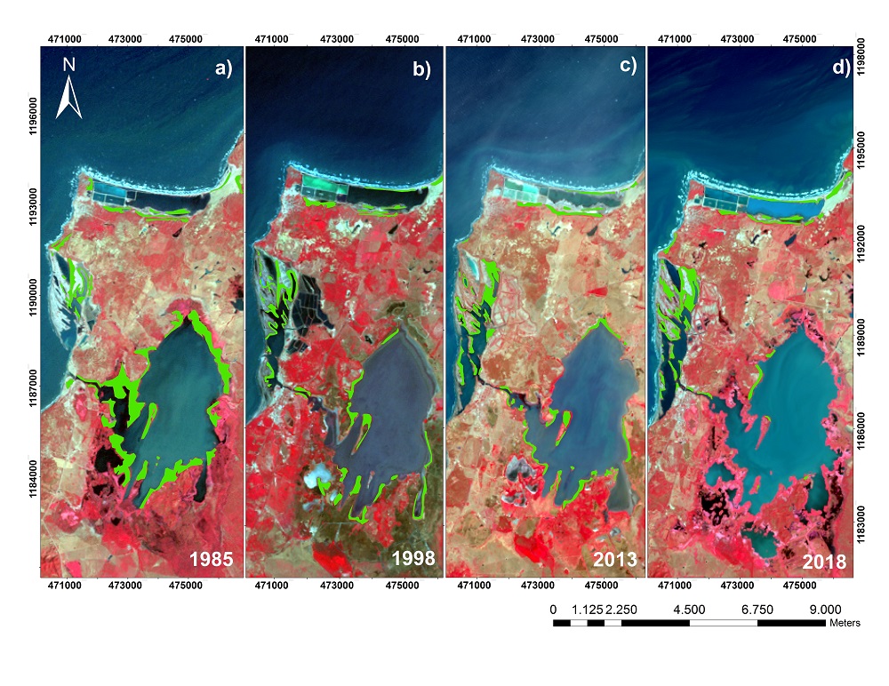 Evolución del bosque de manglar en la Ciénaga de Mallorquín: (a) 1985, (b) 1998, (c) 2013 y (d) 2018.