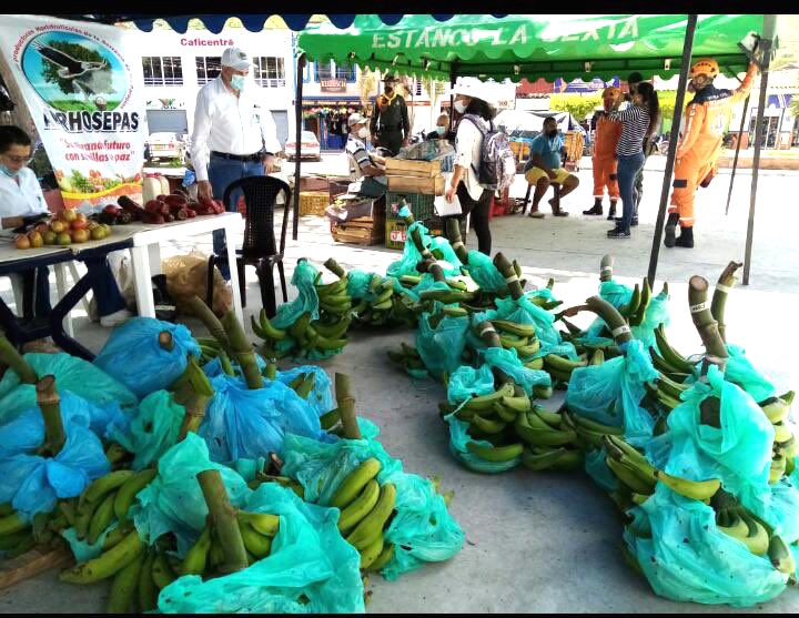 Mercados campesinos para apoyar a productores agropecuarios en el Valle del Cauca.