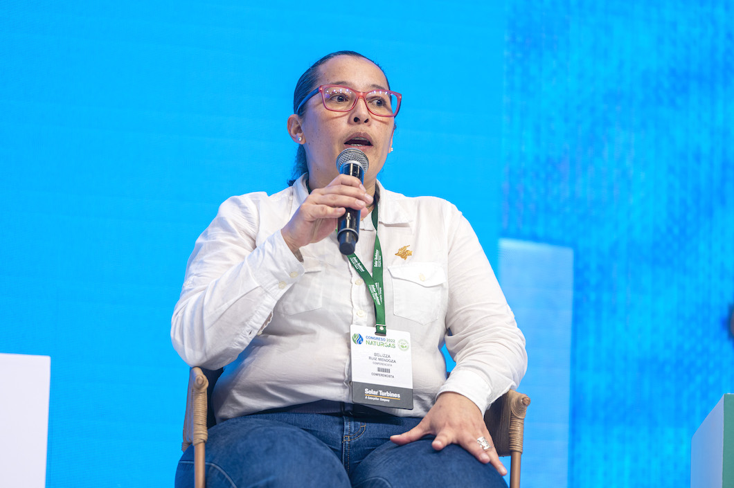 Belizza Ruiz Mendoza, Viceministra de Energía.