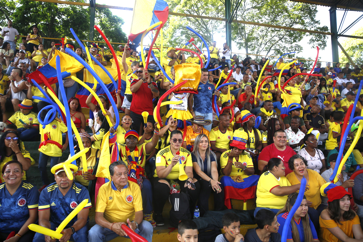Hinchas colombianos siguiendo las acciones del partido.