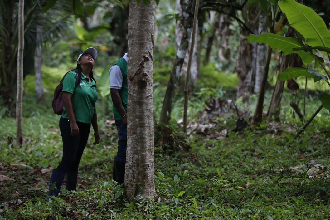 Rosa camina con un alumno durante un recorrido por la selva.