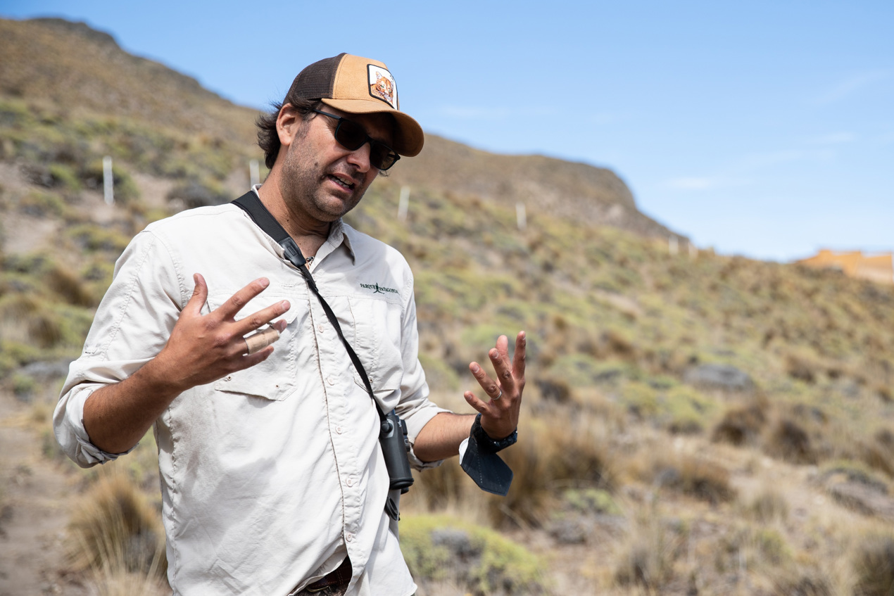 Cristián Saucedo, director de Vida Silvestre en la Fundación Rewilding Chile, explica el proceso de liberación a la vida silvestre de los cóndores rescatados Pumalín y Liqueñe.