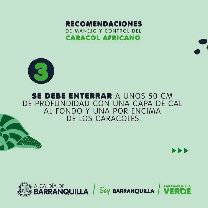 Recomendaciones de Barranquilla Verde.