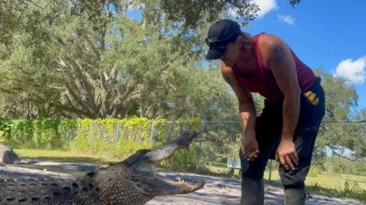 Hombre pierde parte de brazo tras ataque de caimán en un zoológico ...