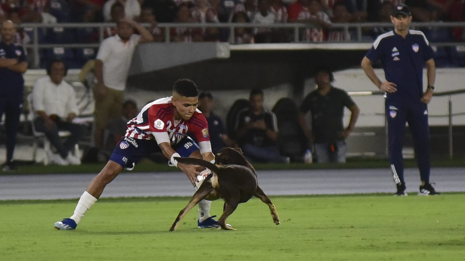 José Enamorado intenta arrebatarle la pelota a un perro que entró a la cancha. 