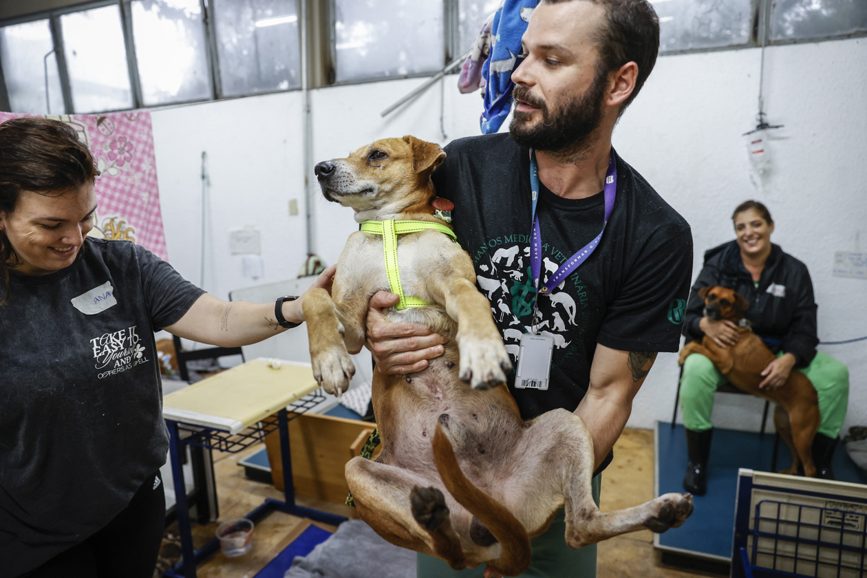 Hombre sostiene a un perro rescatado tras inundaciones de Brasil.