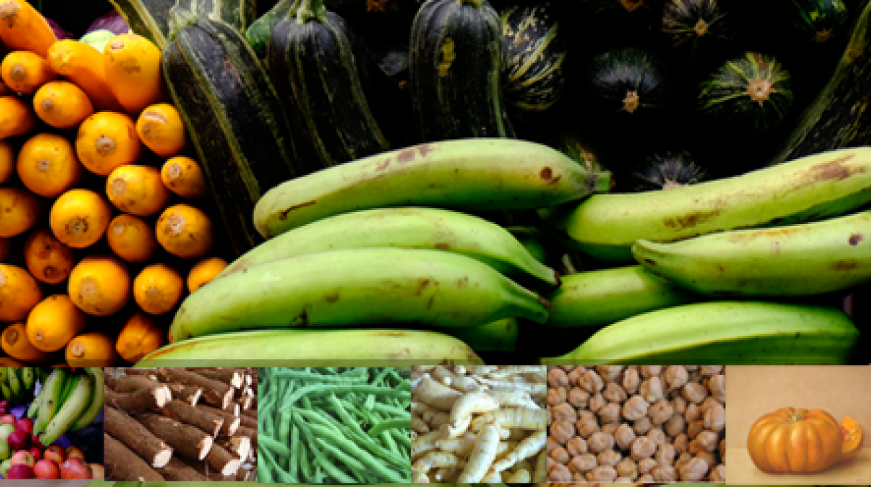  Bajaron las cotizaciones de las verduras, las frutas y los tubérculos en la última semana en Colombia.