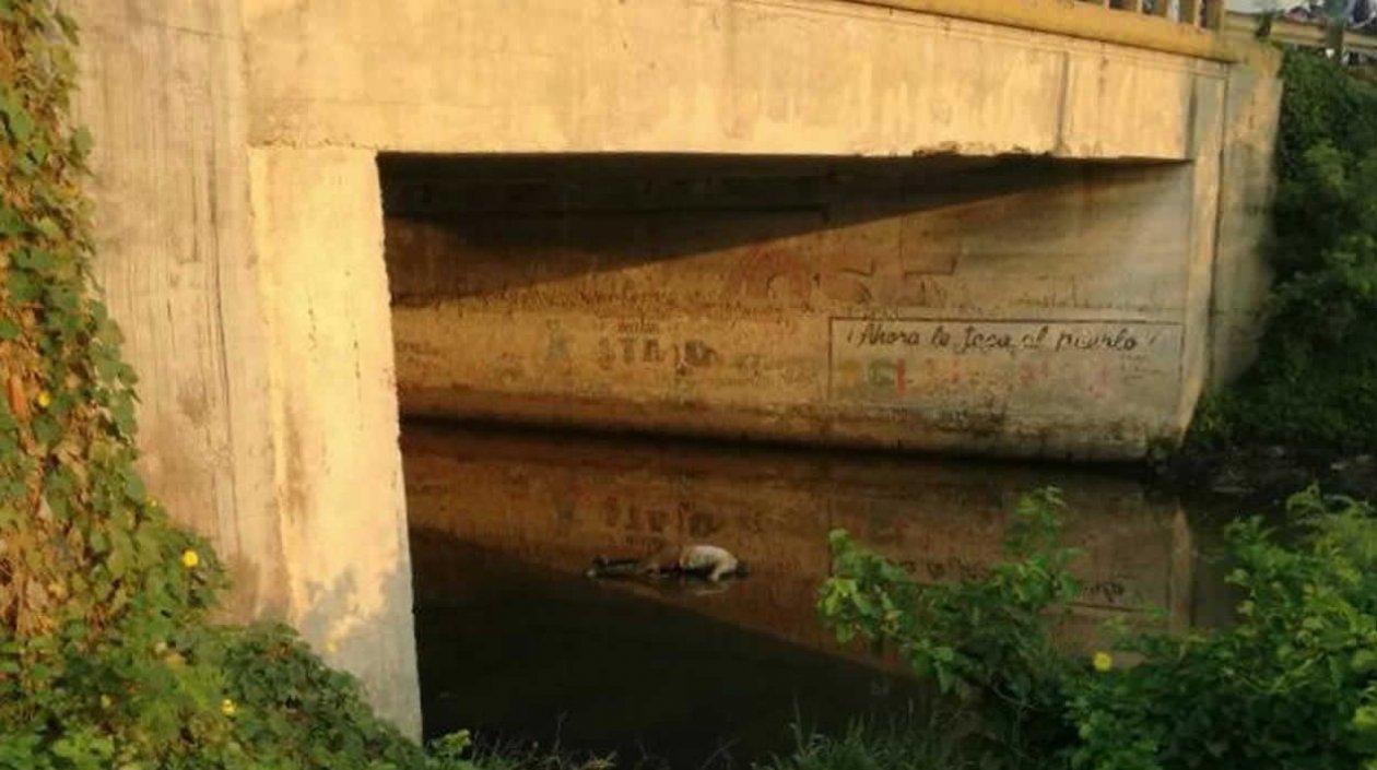 Cadáver debajo del Puente de La Virgencita
