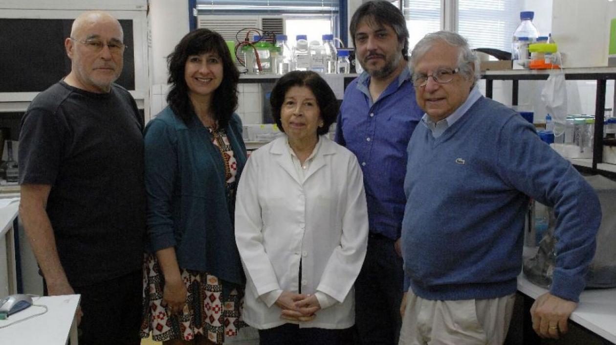 Mario Herrera Marschitz, Paola Morales, María Elena Quintanilla, Marcelo Ezquer y Yedy Israel, los autores del aerosol.