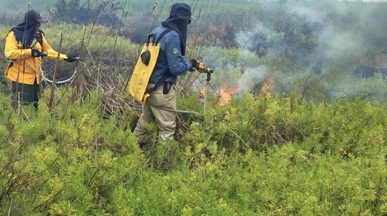 Brigadas especiales controlando el incendio forestal.