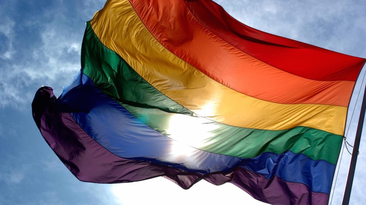 Fallo dejó sin efectos el dictamen de un colega de Brasilia que garantizaba la "plena libertad científica" para llevar a cabo supuestas terapias contra la condición de homosexual.