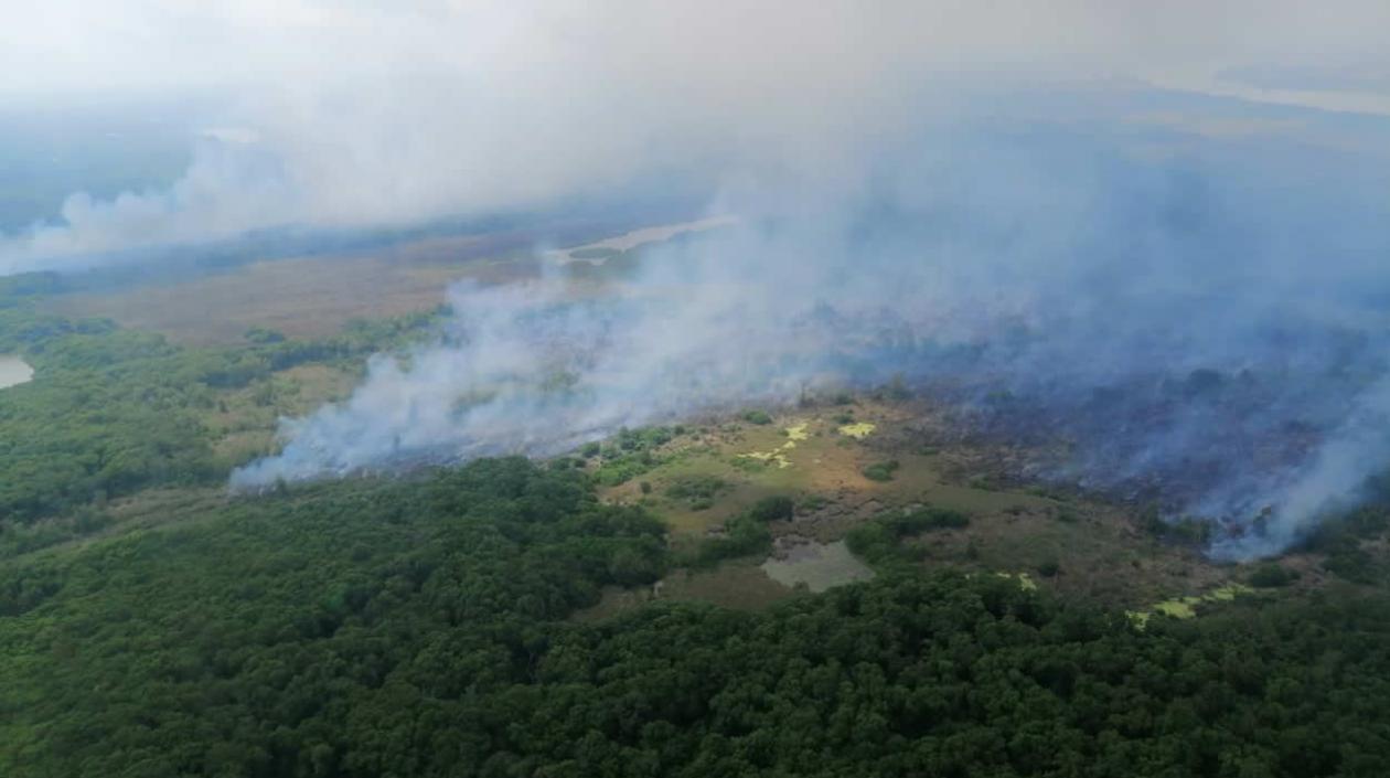 Extinción de incendios en el Parque Isla Salamanca