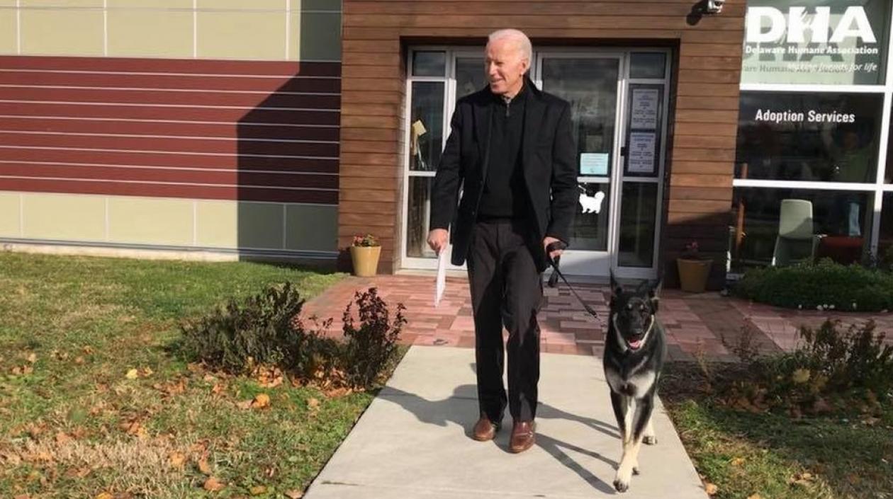 Joe Biden y uno de sus perros.