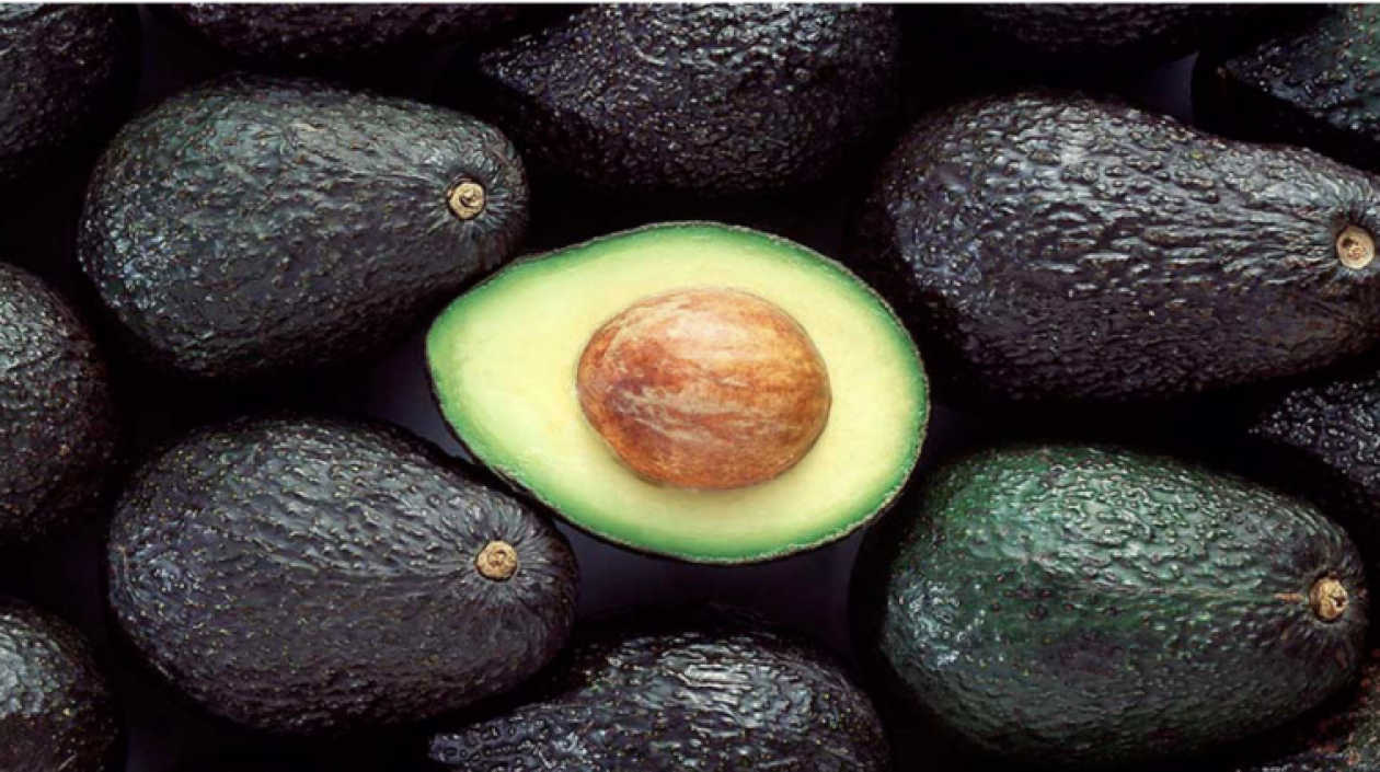 Aguacate hass.
