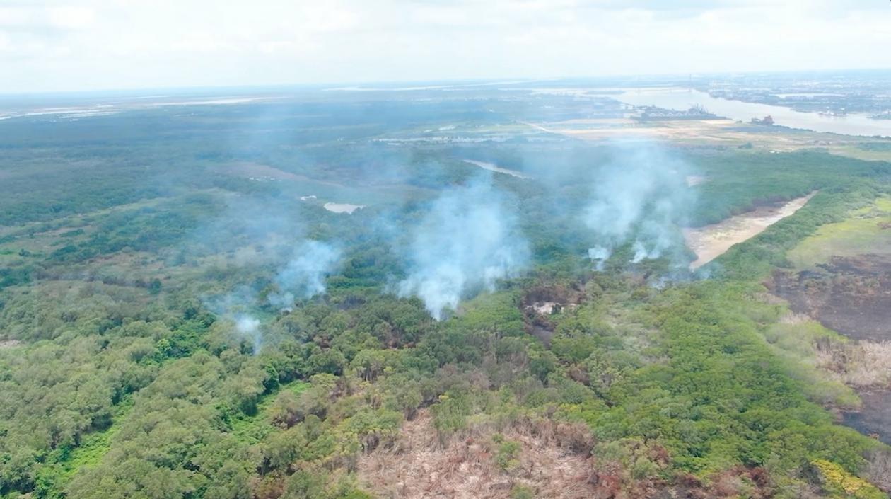 El incendio forestal deja graves daños ambientales.