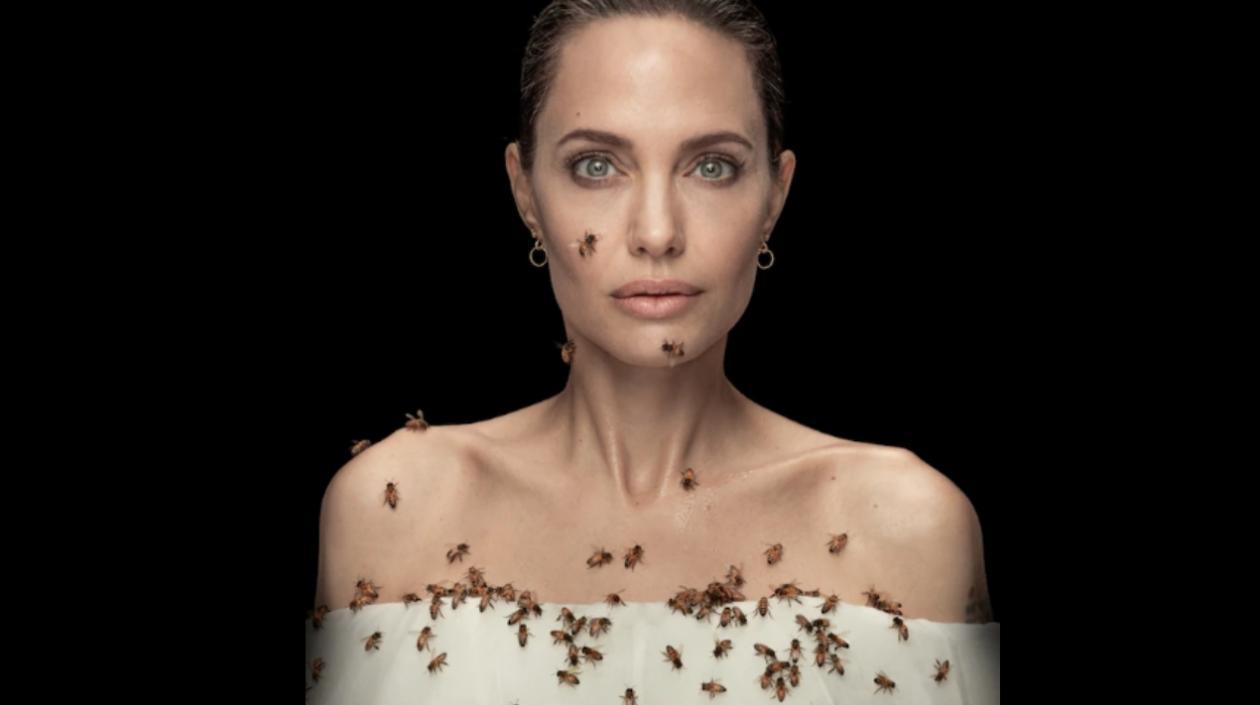 Angelina Jolie estuvo quieta durante 18 minutos hasta que Dan Winters terminó la sesión de fotos para la National Geographic..