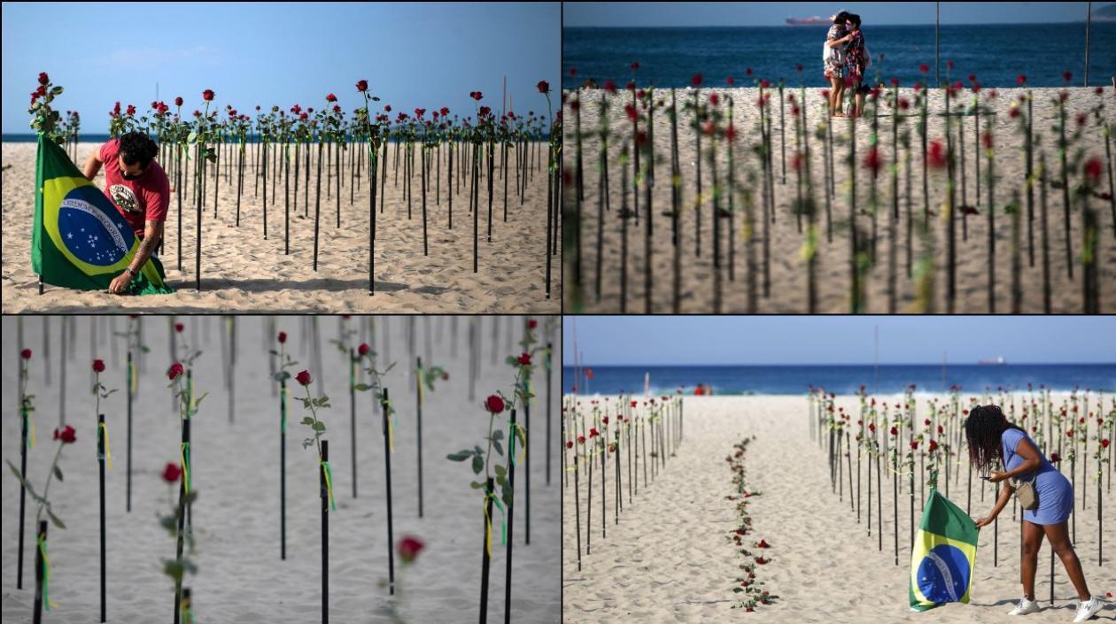 Rosas sembradas en las playas de Copa Cabana. 