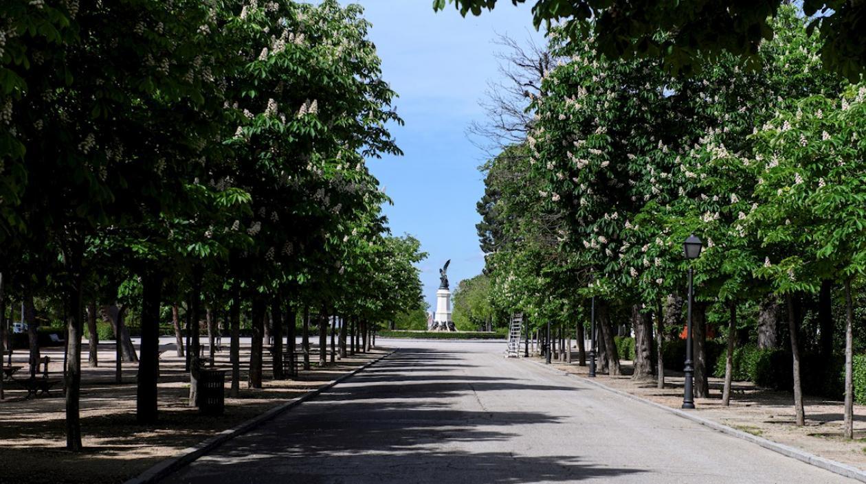 Vista del parque del Retiro de Madrid. 
