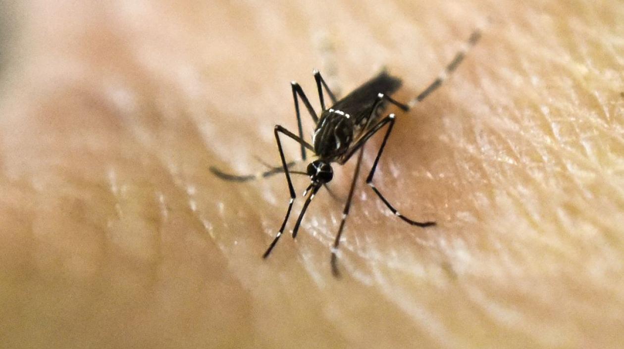 El dengue sigue presente en el país y es una prioridad en salud pública a nivel nacional.