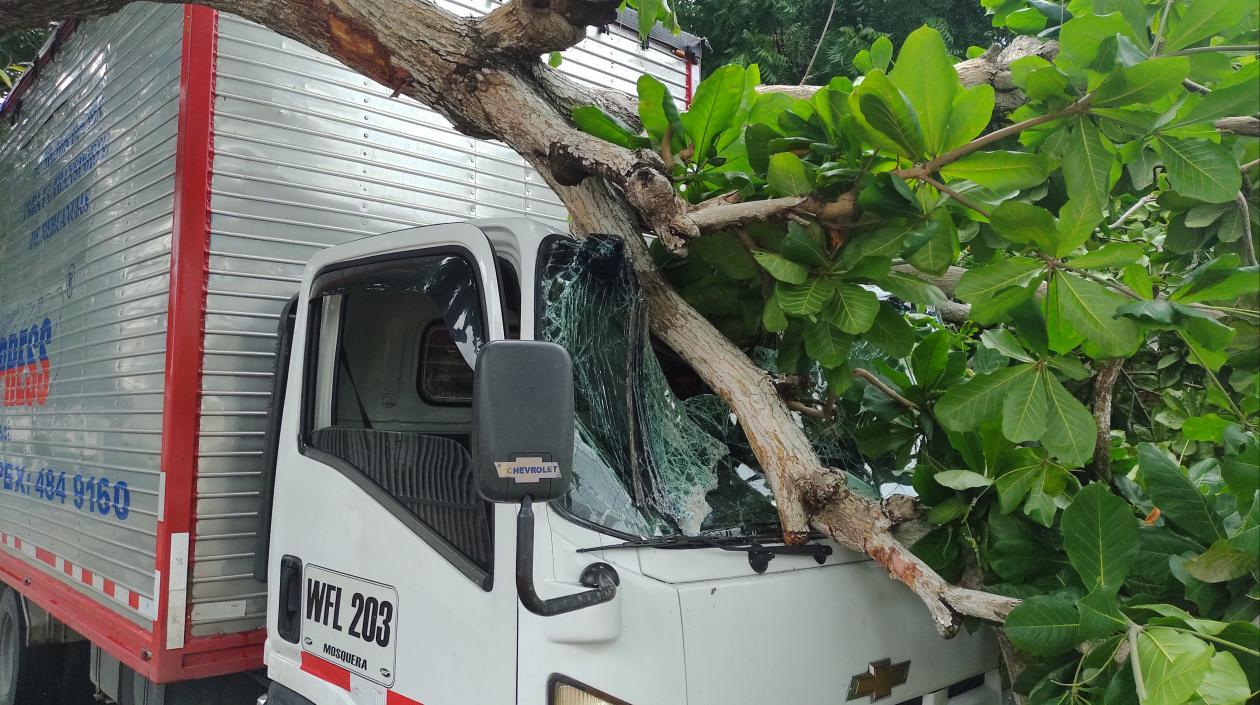 La pesada rama cayó sobre este furgón en momentos en que pasaba por el barrio Paraíso.