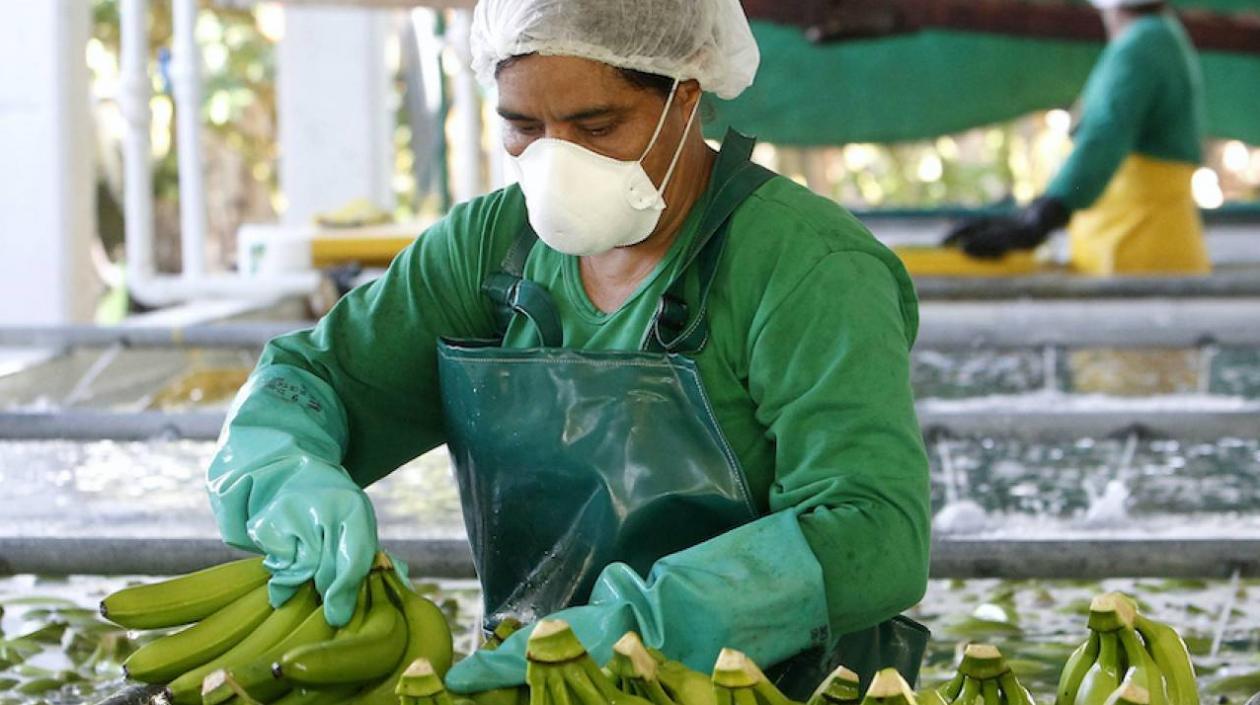 Los ministros de países productores en Latinoamérica acordaron invocar el concepto de "responsabilidad compartida".