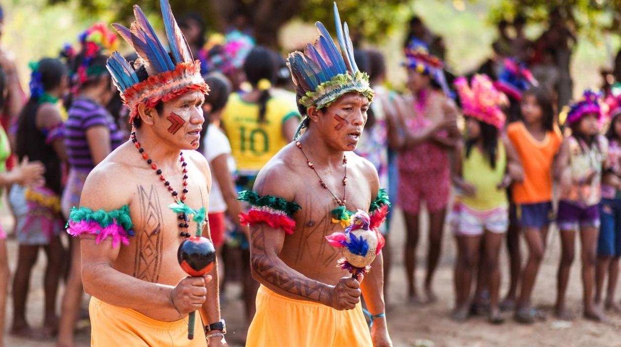 Pueblos Indígenas de la Amazonía. 