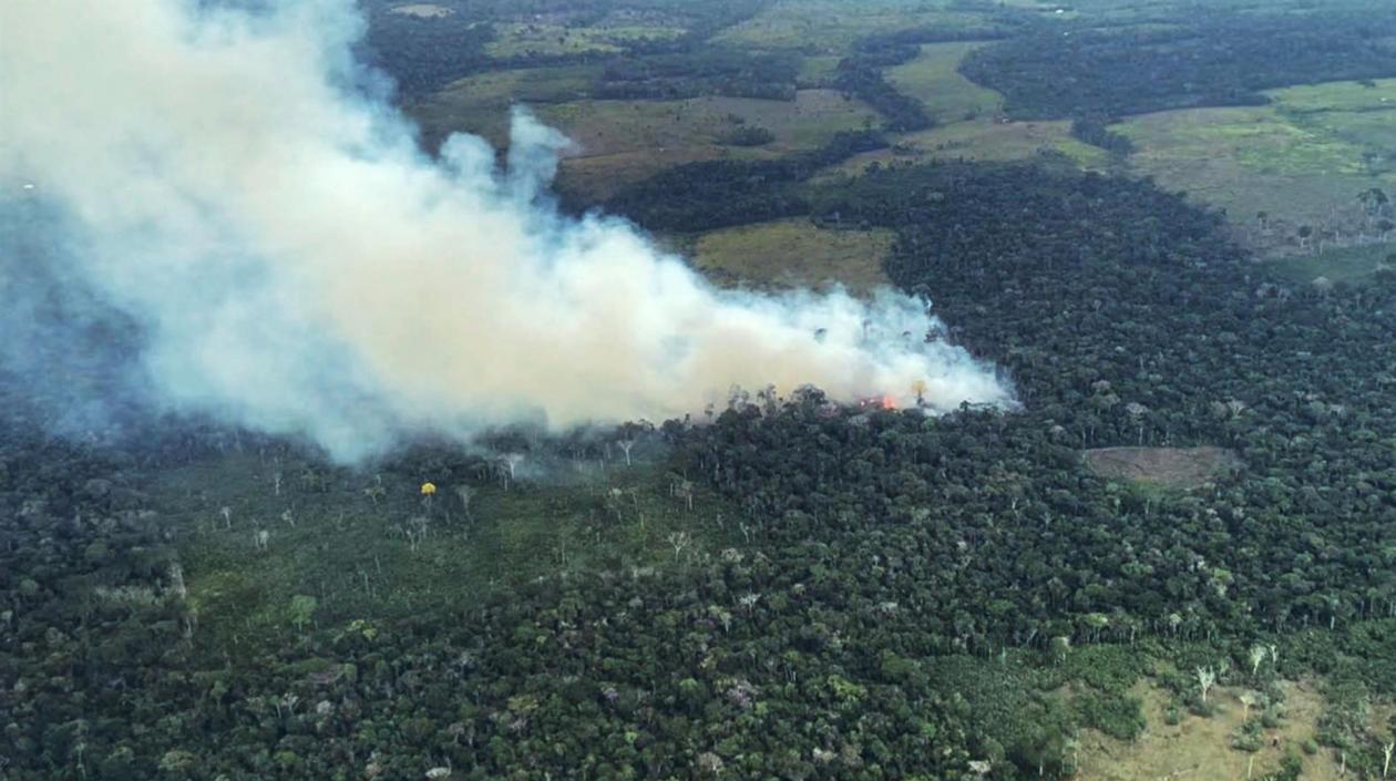 La Amazonía colombiana ha sido víctima de incendios criminales. 