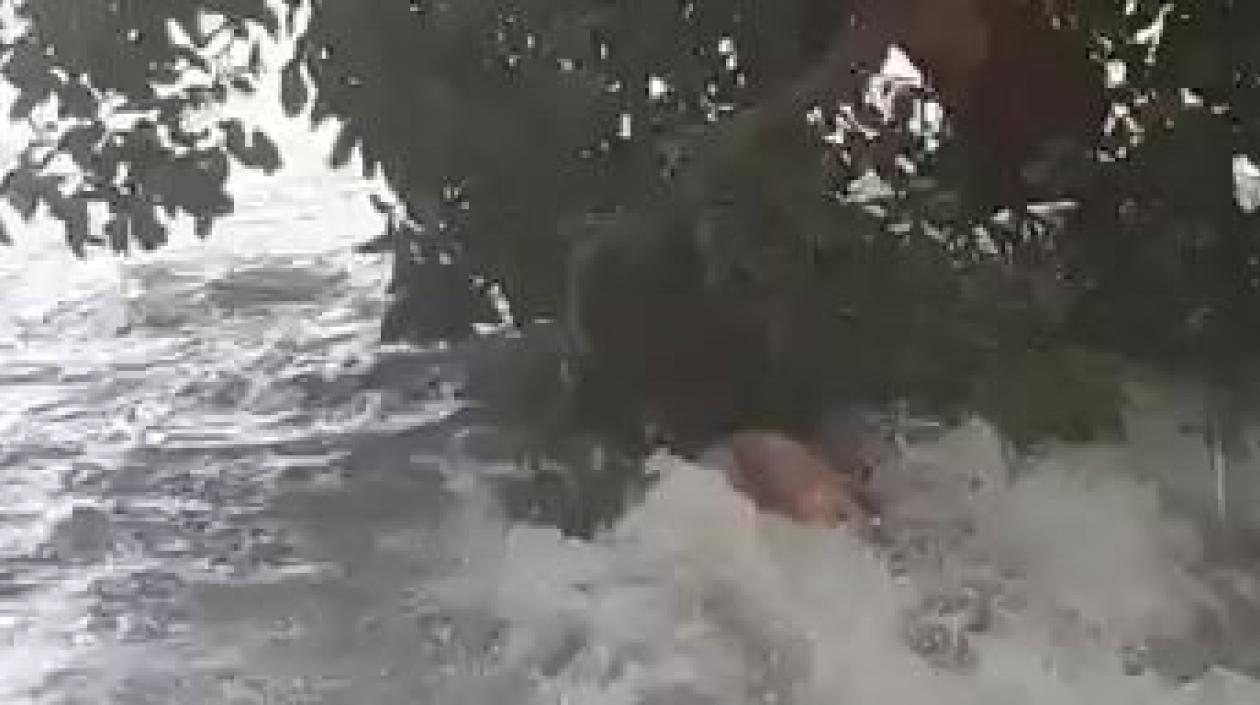 Dos menores se salvaron en el arroyo de Siape.