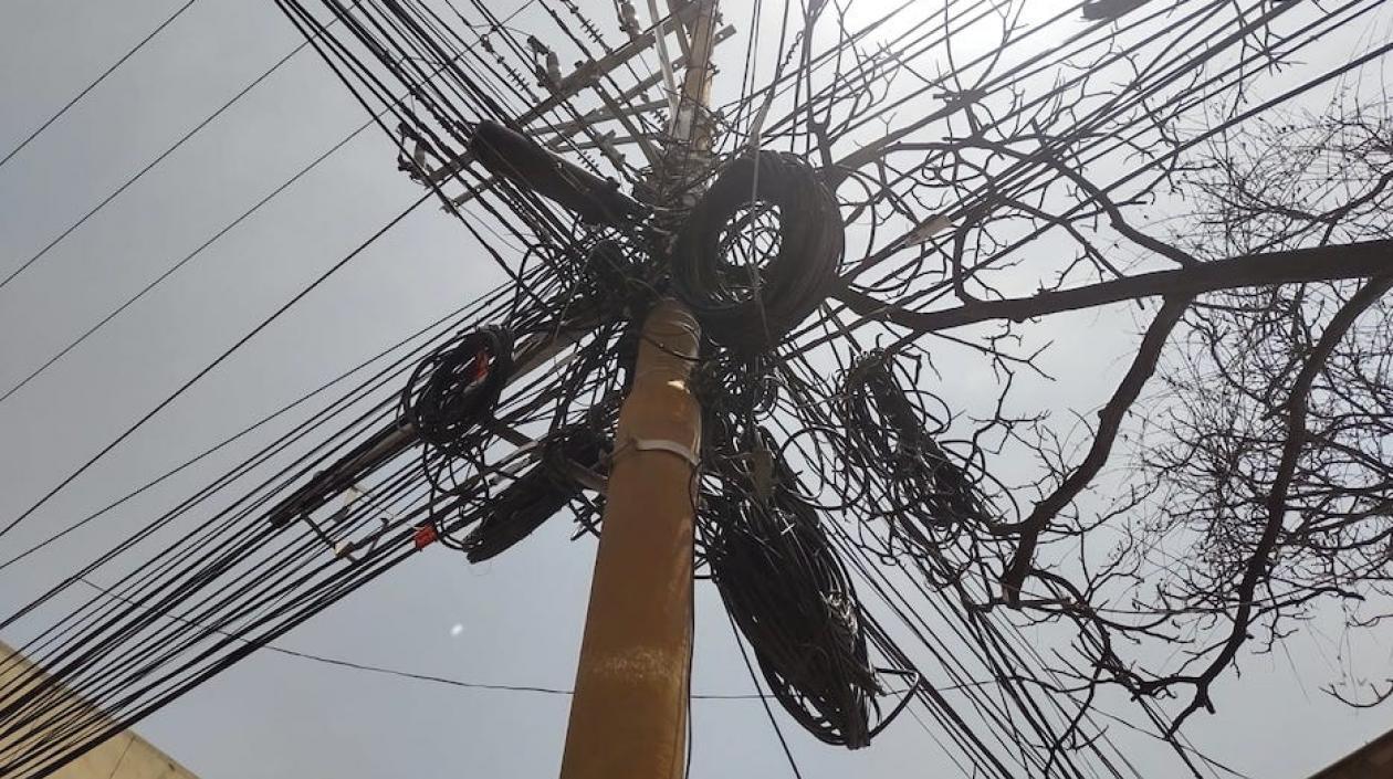 Las famosas telarañas en el Centro de Barranquilla.