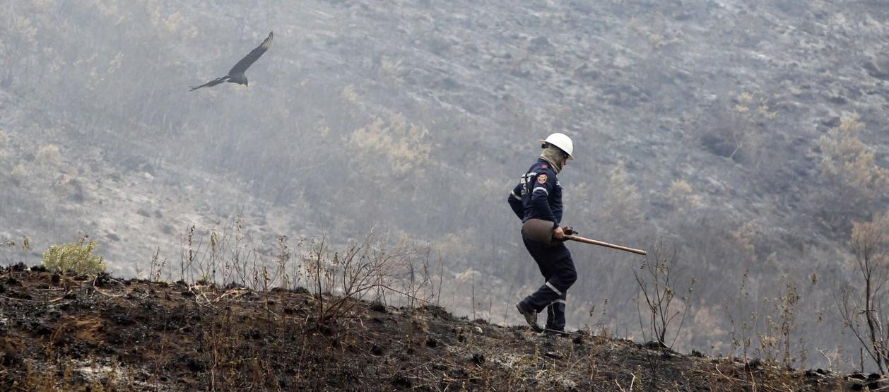 En lo que va del año, en Colombia se han registrado 1.987 incendios forestales.