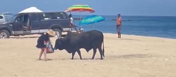 Toro en playa de México.