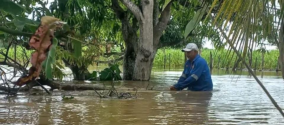 Extensas tierras de San Benito Abad permanecen bajo el agua por la ruptura de 'Caregato'