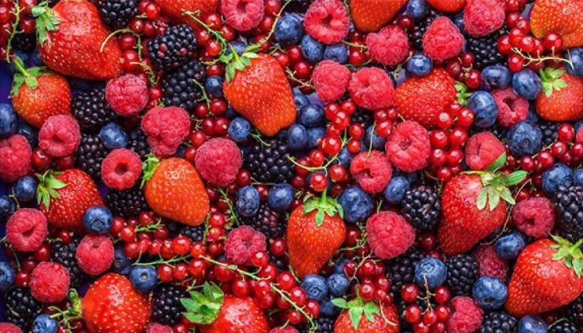 Por su alto contenido de antioxidantes estas frutas son buenas para la salud.