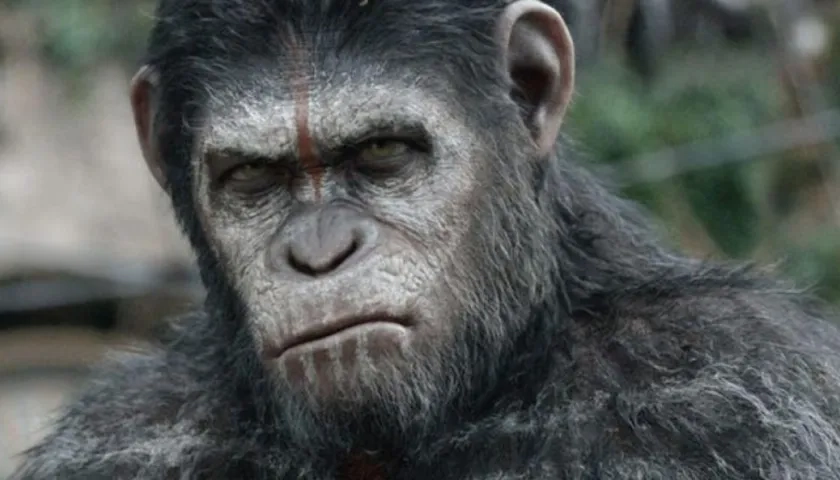 César, protagonista de la reciente versión de 'El planeta de los simios'.