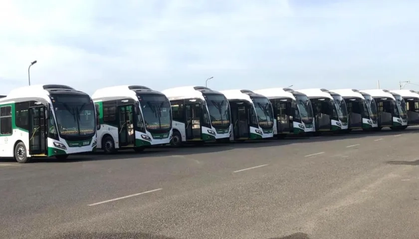 La nueva flota de buses.