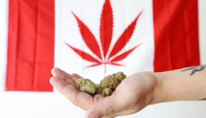 En Canadá, la marihuana está sujeta a impuestos especiales que gravan de forma selectiva su consumo.