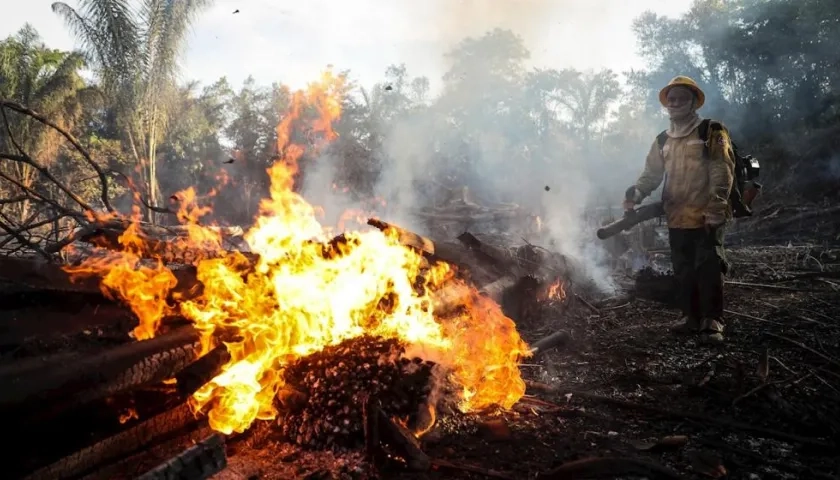 Bomberos del Prevfogo, una brigada forestal del Ibama formada por indígenas de la etnia Tenhari, participan en la extinción de un incendio