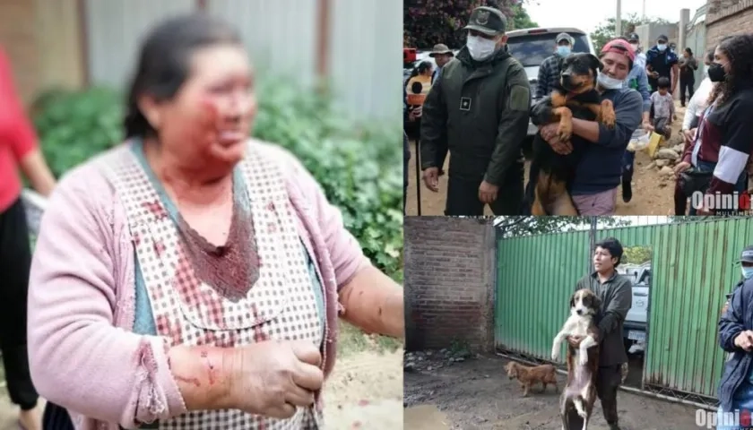 Autoridades se llevaron a los perros que atacaron a una mujer en Bolivia.