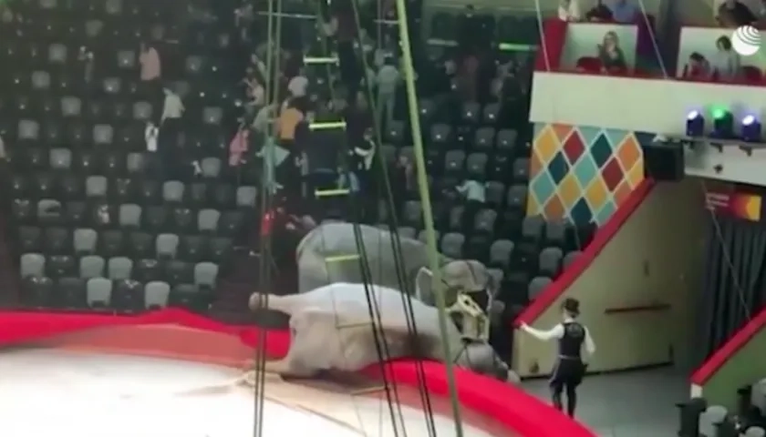 El incidente tuvo lugar en un circo de Kazán.