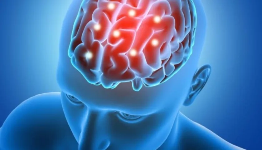  Entre las enfermedades más comunes del cerebro están la migraña, la enfermedad cerebrovascular, la epilepsia y el alzhéimer..
