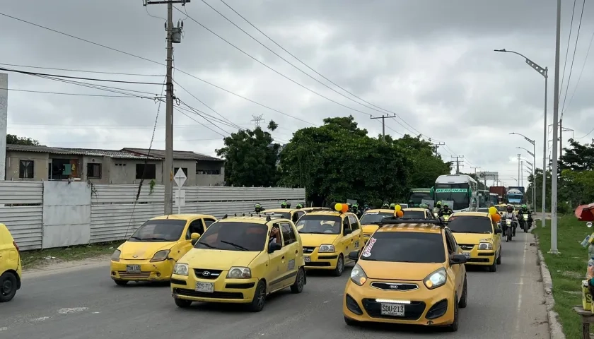 Avenida Circunvalar a la altura de Las Gaviotas hay 'Plan tortuga'