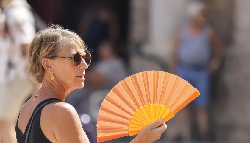 Algunos turistas van a museos. 