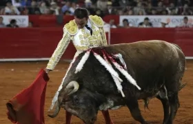 En la foto, el torero español Enrique Ponce.