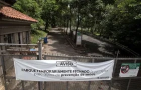 En Sao Paulo van 26 muertes por el virus de fiebre amarilla.