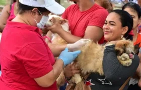 La ciudadanía atendió el llamado para vacunar sus mascotas.