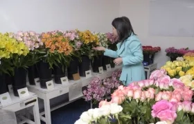 La viceministra de Comercio Exterior, Olga Lucía Lozano, durante una visita a un cultivo de flores.