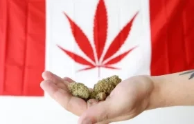 En Canadá, la marihuana está sujeta a impuestos especiales que gravan de forma selectiva su consumo.