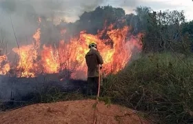 Fotografía cedida por los Bomberos del estado de Acre que muestra a miembros de los bomberos mientras combaten un incendio ayer.
