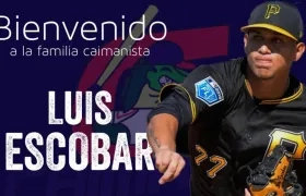 El lanzador Luis Escobar.