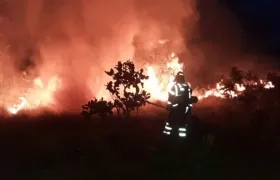 Aspectos del incendio forestal en el Parque Nacional El Tuparro, Vichada.